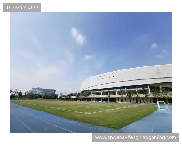 南京梦之蓝青奥体育公园设置嘉年华区域，丰富观赛体验