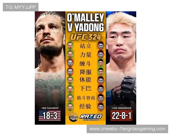 宋亚东对阵奥马利比赛数据公布，打击数与控制时间成关键